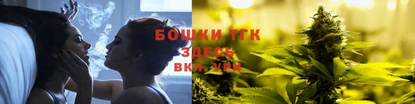 прущие грибы Армянск