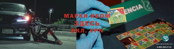 прущие грибы Армянск