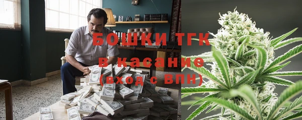 прущие грибы Армянск