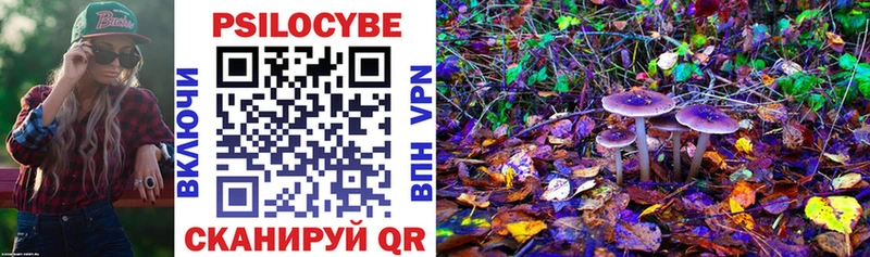 цены   Петухово  Галлюциногенные грибы Cubensis 